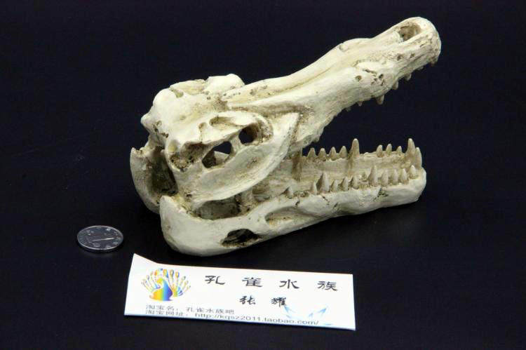 爬虫爬宠鳄鱼恐龙头骨造景蜘蛛蜥蜴蛇脱皮陆龟箱爬箱造景装饰躲避,淘宝优惠券,粉丝福利购,淘宝优惠卷