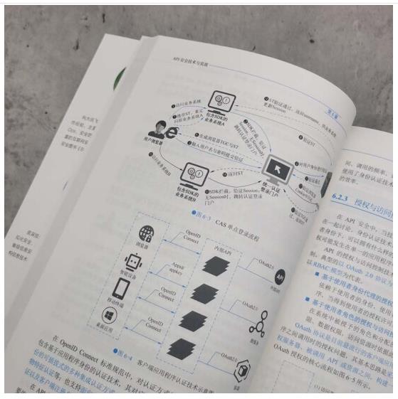 API安全技术与实战 钱君生 杨明 韦巍 API安全漏洞 - 图2