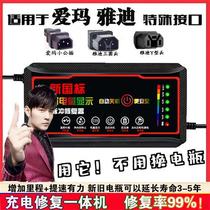 (Battery Repaiser) Love Maya Di Electric Car Battery Charger Conversion Head 48V60V72V20A Universal