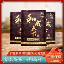 Betel nut and adult batch of original factory Taste King RMB50  Loaded One Bag 10 Bag Hainan Qingkao Penang