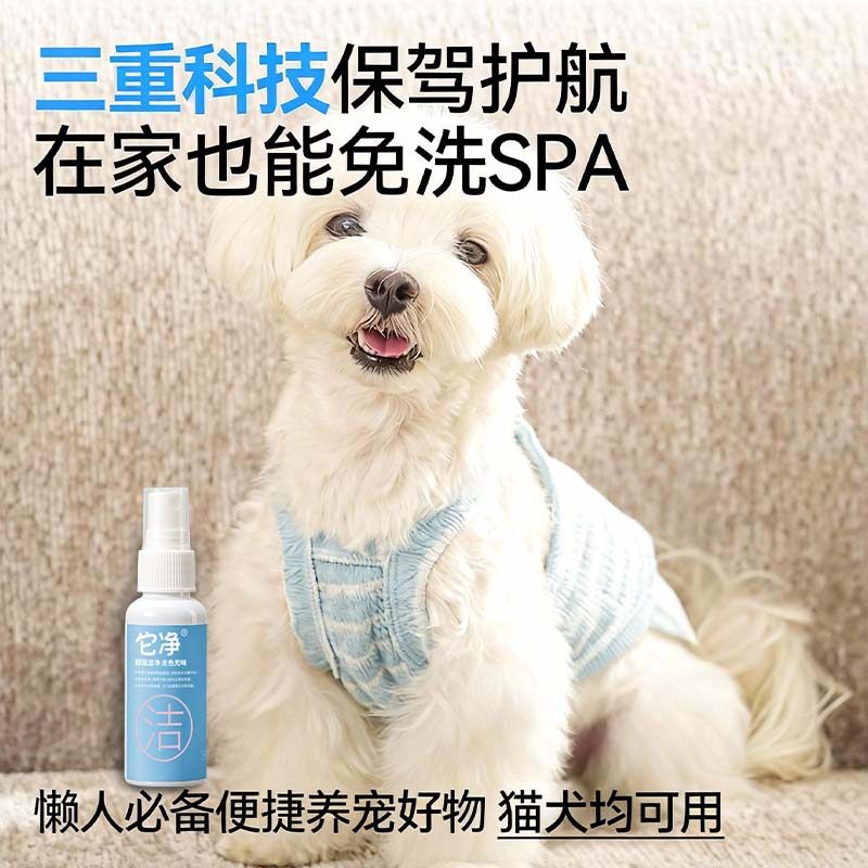【便携装】它净蚕丝蛋白猫咪免洗澡清洁干洗宠物开结喷雾去黄胡子,淘宝优惠券,粉丝福利购,淘宝优惠卷
