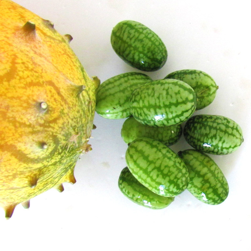 特色拇指西瓜鲜果新鲜网红绿瓢迷你小西瓜脆佩普基诺水果现摘1斤,淘宝优惠券,粉丝福利购,淘宝优惠卷