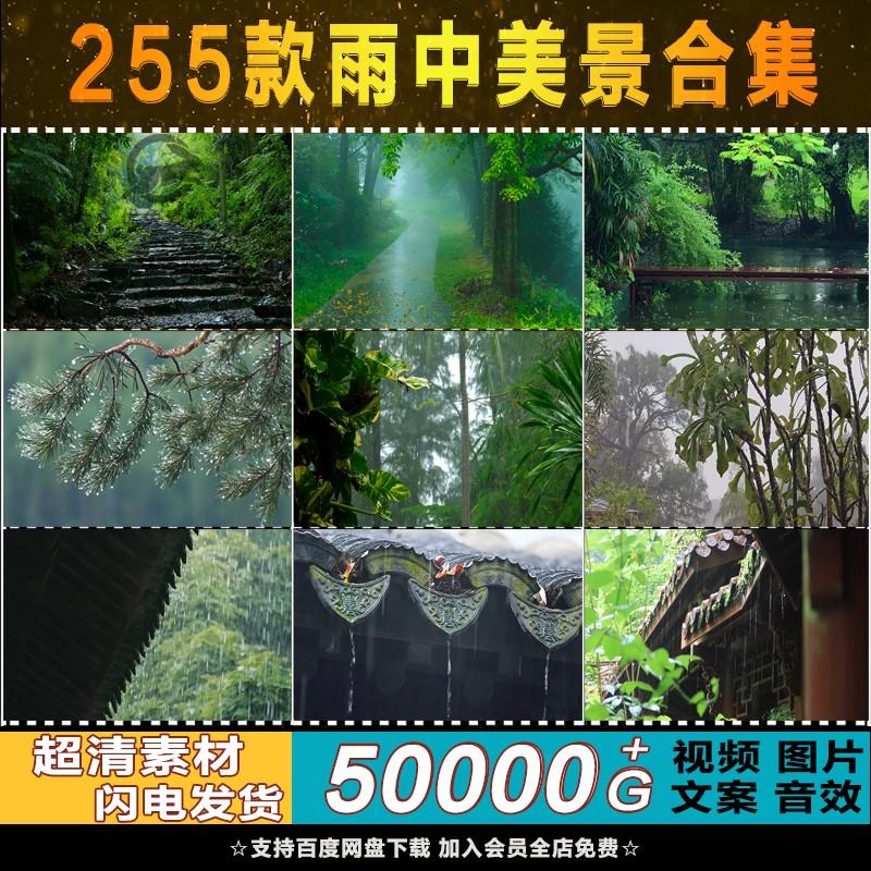 唯美自然下雨天空树叶水滴水珠雨中屋檐高清治愈短片剪辑视频素材