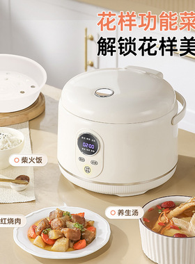 半球陶瓷釉2026新款电饭煲