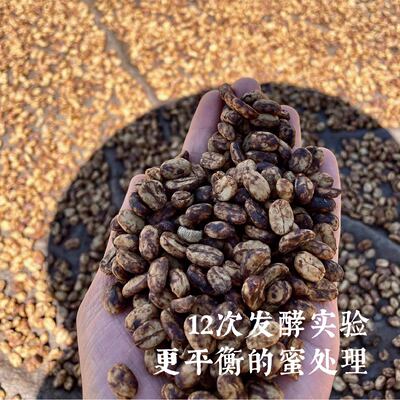 特写临沧咖啡很甜的中深烘