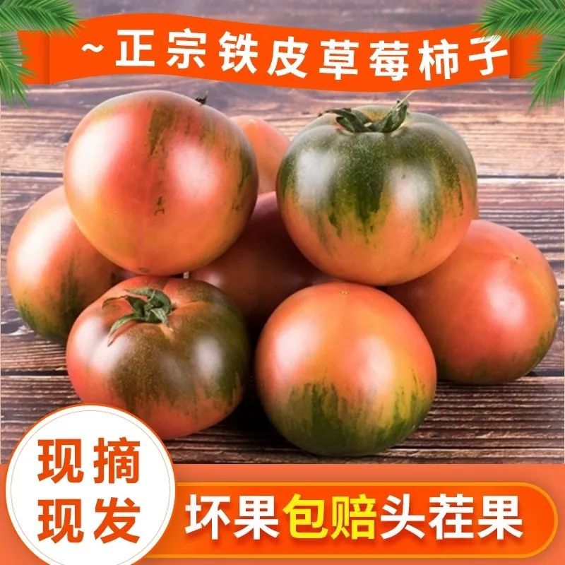 丹东草莓柿子5斤番茄铁皮柿子绿腚油柿子新鲜西红柿自然熟正宗