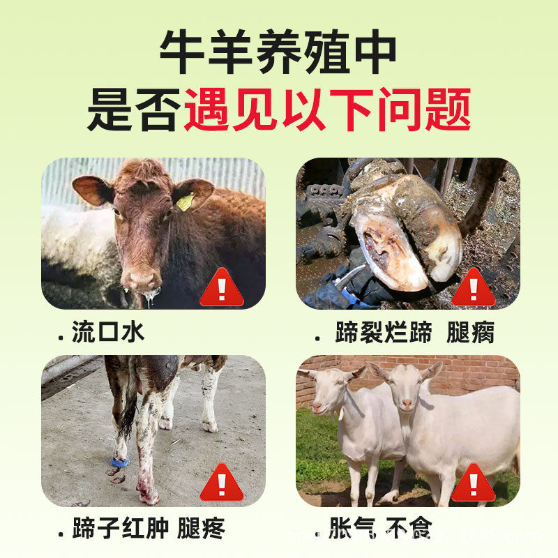 雄牧排酸护蹄康牛羊猪家畜通用饲料添加剂,淘宝优惠券,粉丝福利购,淘宝优惠卷