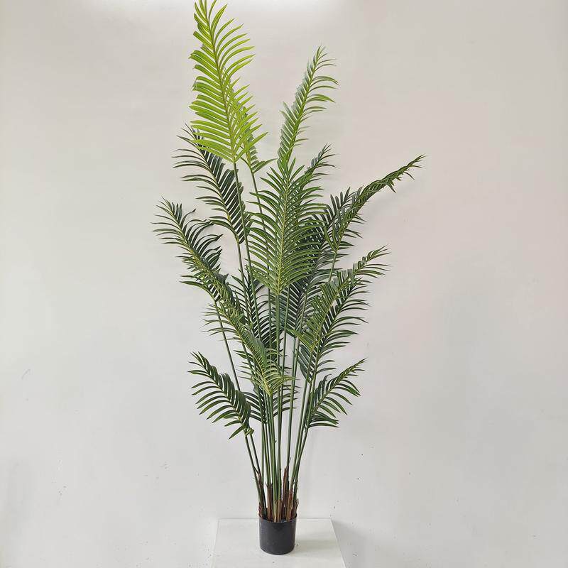 贵妃葵装饰假绿植盆栽摆件家居饰品加密仿真凤尾葵散尾葵现货,淘宝优惠券,粉丝福利购,淘宝优惠卷