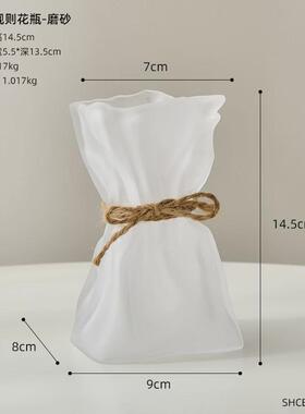 北欧ins风创意玻璃花瓶摆件客厅电视柜透明水养装饰品郁金香插花