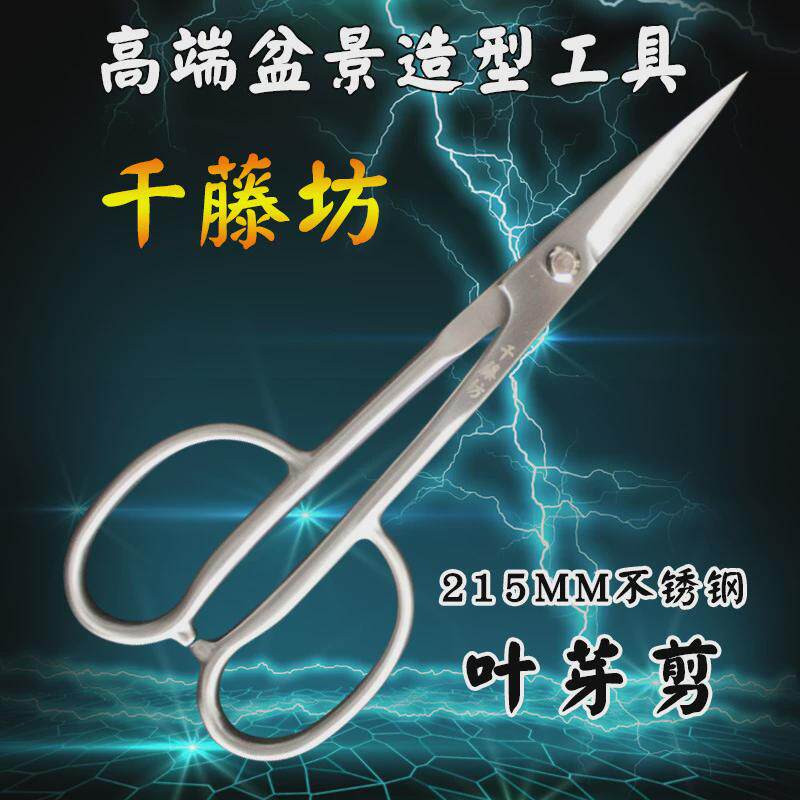 千藤坊不锈钢215mm叶芽剪插花剪刀切枝园艺剪刀量从优大一件也批,淘宝优惠券,粉丝福利购,淘宝优惠卷