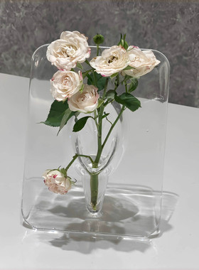 相框花瓶亚克力透明水培插花水养绿植摆件客厅桌面玄关高级感
