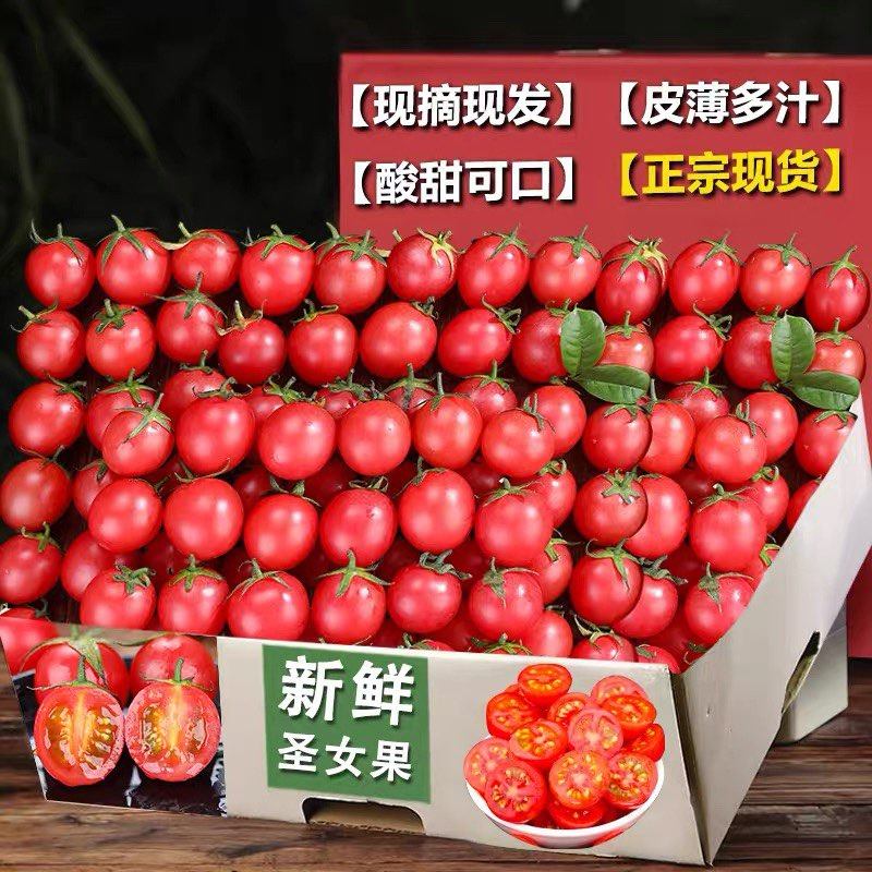圣女果新鲜小番茄5斤水果当季蔬菜生吃自然熟3孕妇西红柿千禧山东,淘宝优惠券,粉丝福利购,淘宝优惠卷