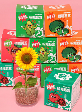 活动奖品儿童种植盆栽小盲盒网红创意绿植小种子幼儿园观察植物小