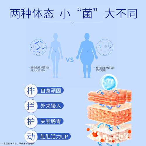 【周期装】超级小燃炮儿童复合菌冻干粉高活性益生菌 - 图1