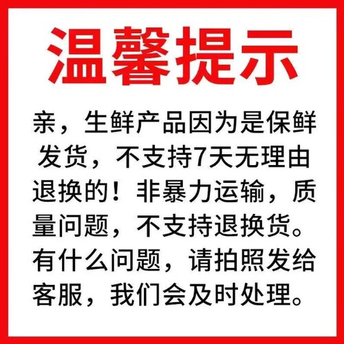 潮汕特产肉卷惠来广章猪肉卷章250g袋煎炒猪脚饭火锅食材猪肉卷