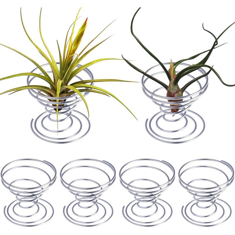 6 Pieces Air Plant Stand Airplant Container Tillandsia Holde - 图0