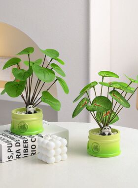 风多肉创意熊猫摆件办公桌面小
