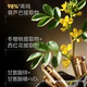 Oxygen Energy Fenugreek Capsules Official Flagship Store