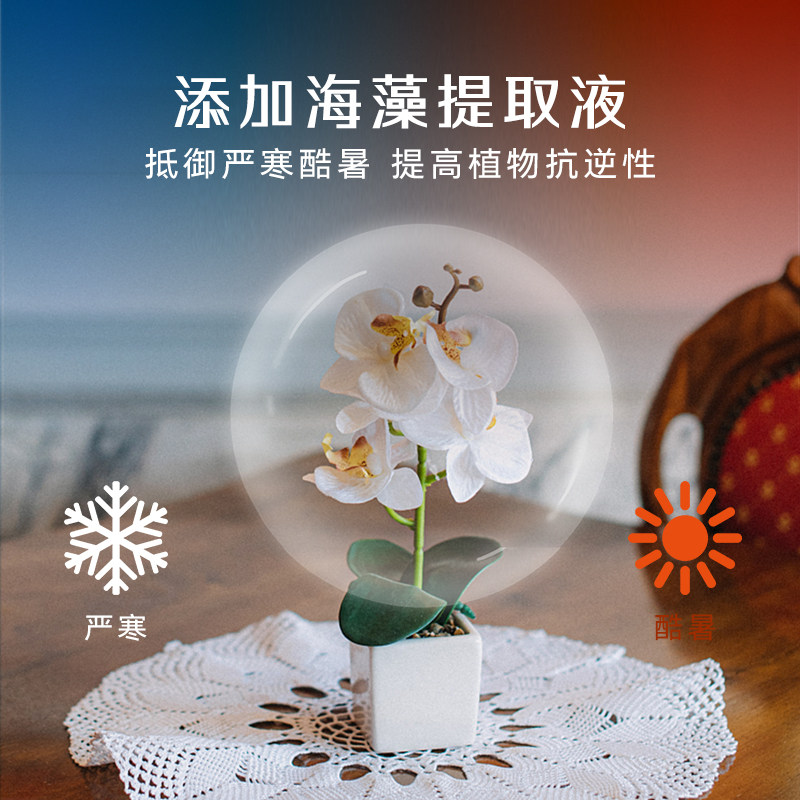 高力高兰花专用型植物营养液兰科促花肥蝴蝶兰君子兰白玉兰花肥料,淘宝优惠券,粉丝福利购,淘宝优惠卷