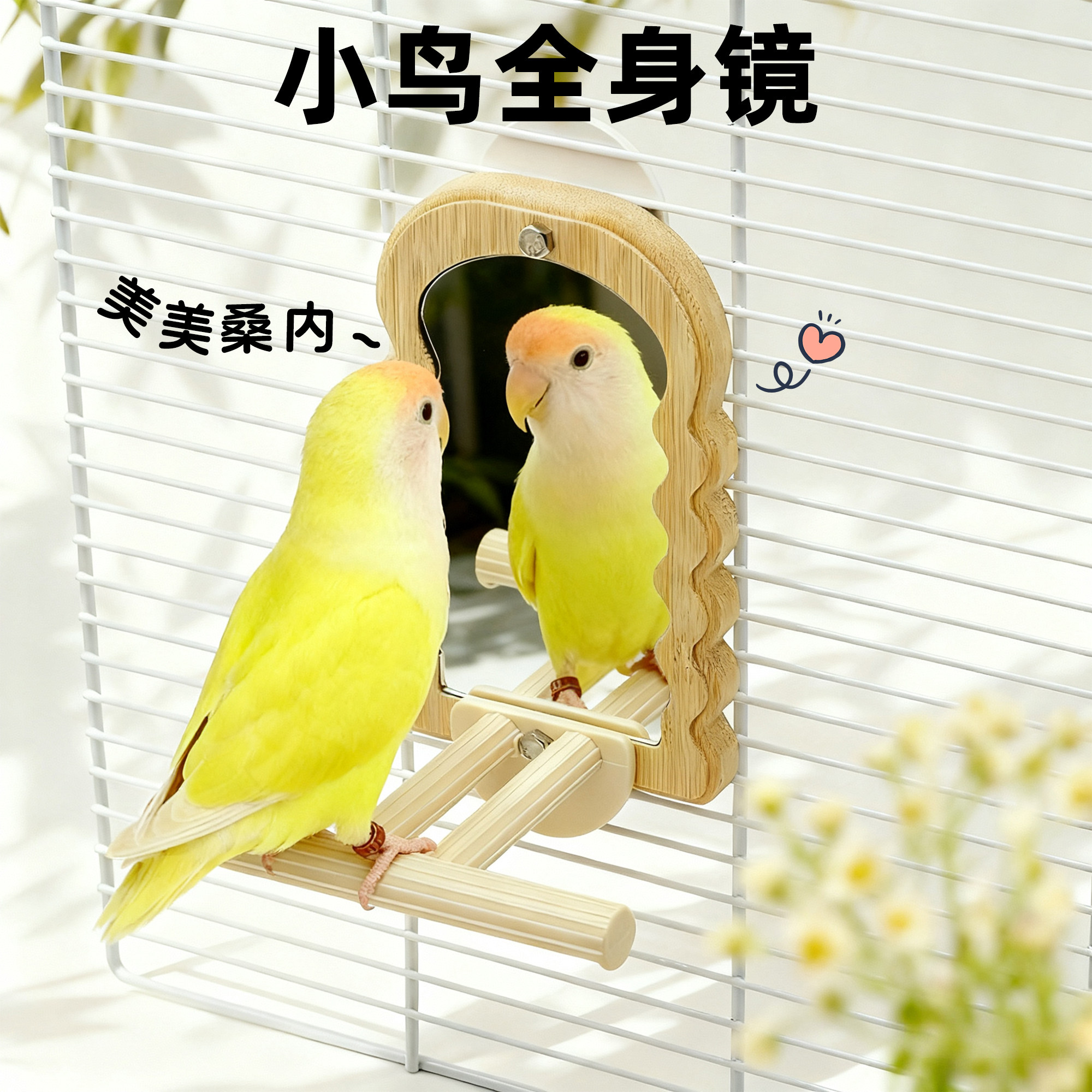 刺星球鹦鹉镜子楠竹加厚自然挂笼镜虎皮牡丹玄凤镜子木站杆鸟笼,淘宝优惠券,粉丝福利购,淘宝优惠卷