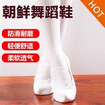 Korean Traditional Dance Shoes Hook Shoes White Classical Dance Shoes Indoor Practice Dance Shoes Flat-bottomed Dance Shoes