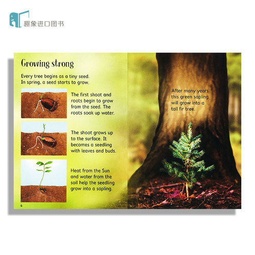 尤斯伯恩初学者系列 Usborne Beginners History/Nature 初探科学历史自然动物10册礼盒套装英文原版儿童英语启蒙绘本少儿科普读物 - 图1