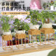 Office desktop flower shelf storage rack green plant pot bracket