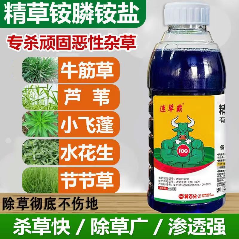 速草风精草铵磷铵盐除草烂根剂草甘磷牛筋恶性杂草杀草剂正品农药-图0