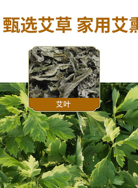 艾草薰香艾条香棒熏房间