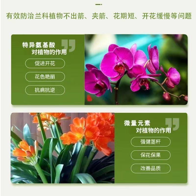 多箭王兰花专用正品蝴蝶兰多箭王冒箭促箭防夹箭绿植通用型液体肥,淘宝优惠券,粉丝福利购,淘宝优惠卷