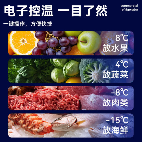 四门冰箱商用冷冻柜酒店厨房不锈钢四开门冰柜立式冷藏冷冻冷柜 - 图3