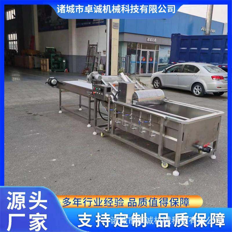 油菜浸泡清洗加工设备水果蔬菜自动化清洗线白菜气泡清洗机,淘宝优惠券,粉丝福利购,淘宝优惠卷