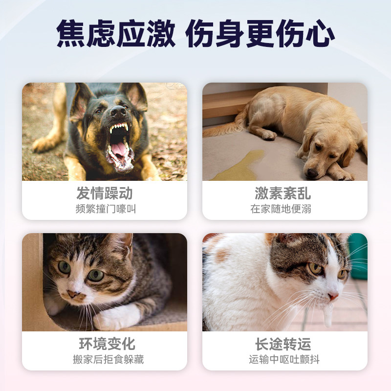 兽护神宠静安猫咪发情舒缓应激乱尿焦虑大调节乱尿情绪抑制抑情片,淘宝优惠券,粉丝福利购,淘宝优惠卷