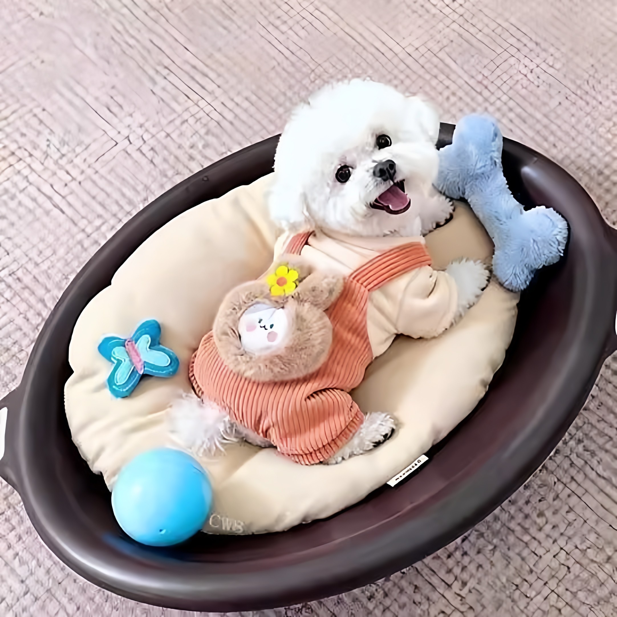 猫咪衣服冬衣加厚加绒四脚衣保暖可爱布偶德文狸花小型犬宠物服饰,淘宝优惠券,粉丝福利购,淘宝优惠卷