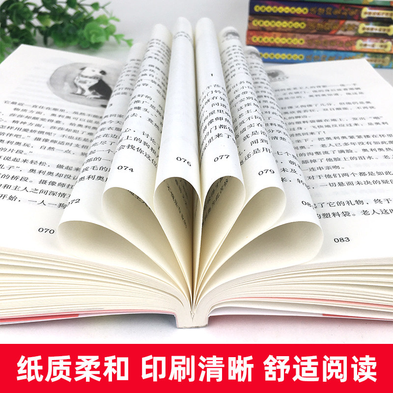 流浪狗奥利奥全套12册 沈石溪动物小说全集新书经典必读新书犬犬之心咖啡屋战车少年大灌篮 小学生三四五六年级课外书儿童文学读物