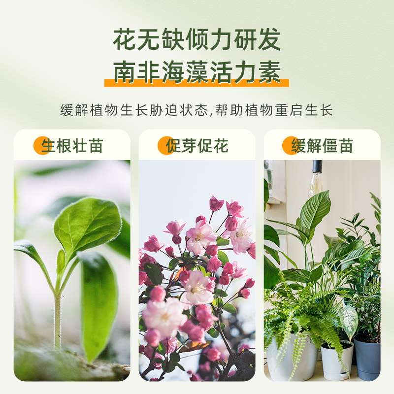 永通出品花无缺植物生长活力素通用型天然海藻修护液缓苗营养液-图0