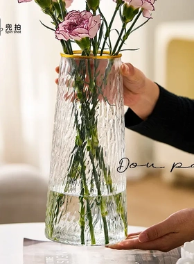【大号两只装】冰川纹花瓶简约玻璃摆件高级感轻奢颜控插花