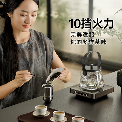 施诺布电陶炉迷你煮茶器泡茶家用小型玻璃电磁炉围炉煮茶电茶炉 - 图1
