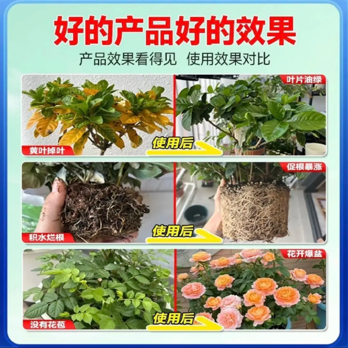 德国联合医学研究院速效再生剂通用浓缩速效复活液绿植花卉盆栽,淘宝优惠券,粉丝福利购,淘宝优惠卷
