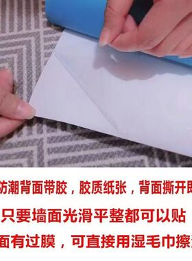 苹果装饰画平安富贵餐厅客厅壁画平安果智慧果平平安安水果自粘画