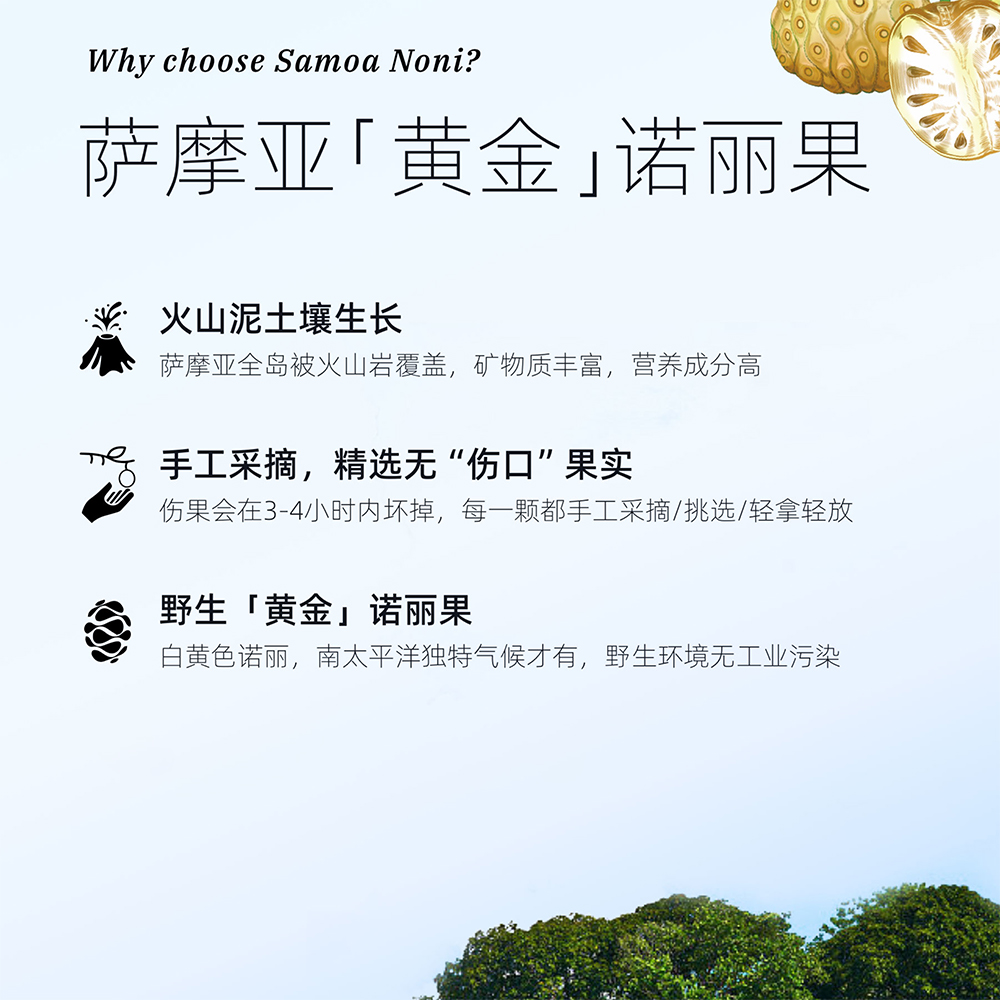 YOUNGUP进口诺丽原浆不加水0泻0激宿便通通饮