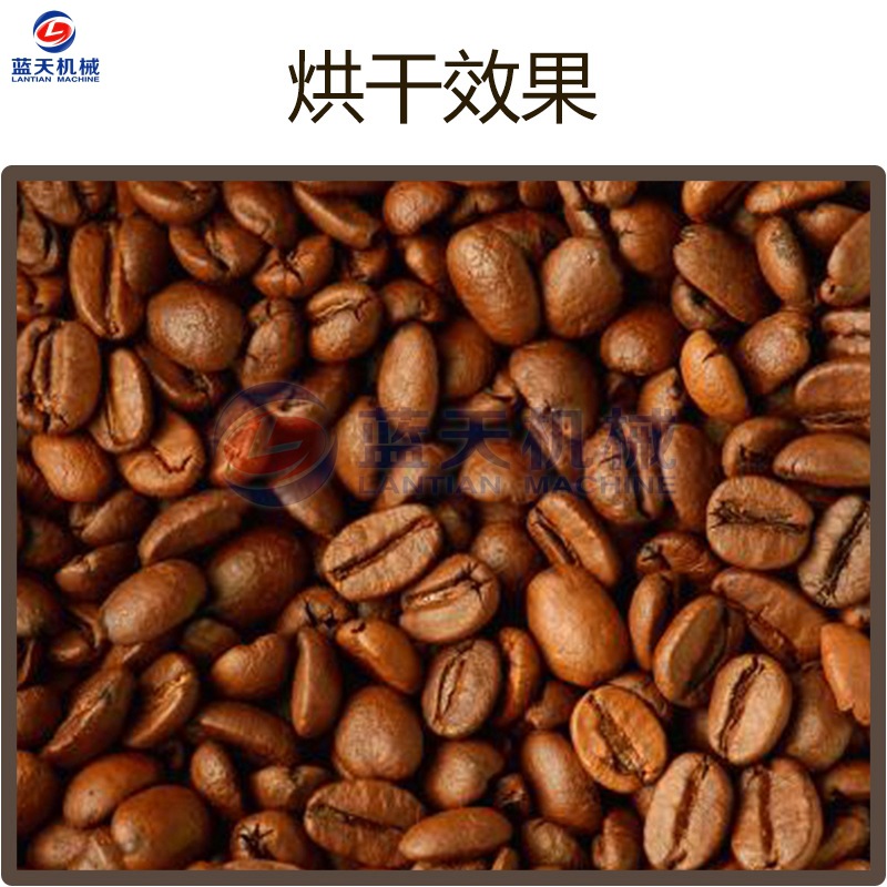 空气能咖啡豆烘干机 可可果咖啡豆烘干磨粉生产线 可可豆烘干设备 - 图0