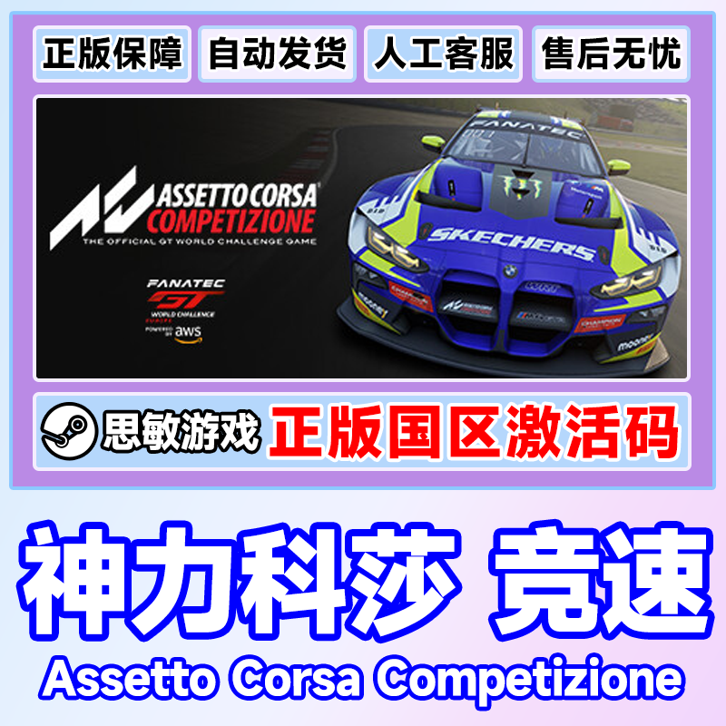 PC正版steam神力科莎:竞速 Assetto Corsa acc争锋挑战者扩展包-图2