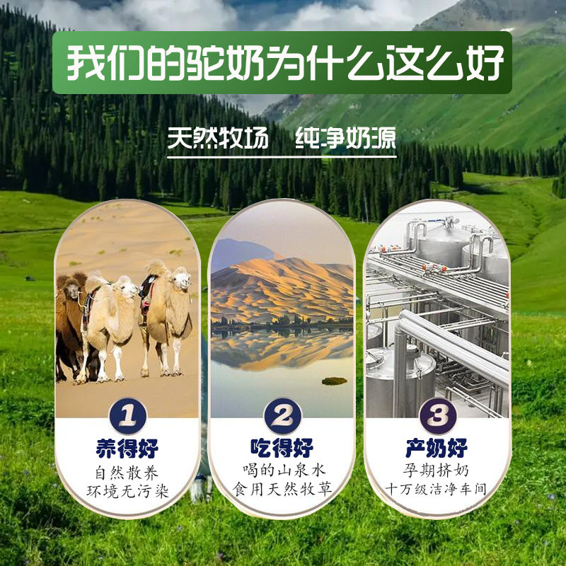 新疆正宗纯驼奶粉骆驼中老年成人高钙乳益生菌正品官网官方旗舰店