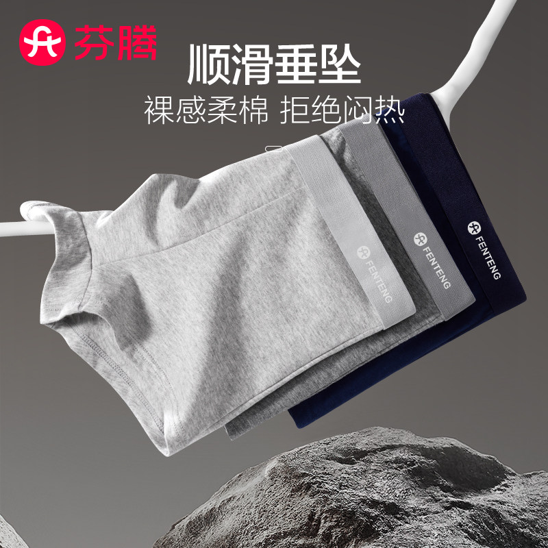 芬腾内裤男士纯棉平角裤衩2025新款青少年男款男生抗菌四角短裤头,淘宝优惠券,粉丝福利购,淘宝优惠卷
