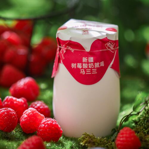 【新疆直发】马三三原味酸奶低温早餐奶益生菌酸奶180g*11罐 - 图2