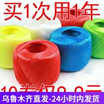 Xinjiang rope special price clearing house Books Vegetable Rope Zoral Rope Plastic Strapping Rope Fruit Tree Bundling Rope House