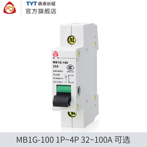 MB1G-100TYT泰永长征63/32A100A/4P长九隔离开关保护断路器2P正品-图1