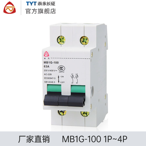 MB1G-100TYT泰永长征63/32A100A/4P长九隔离开关保护断路器2P正品-图0