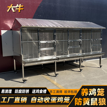 Large Bull Stainless Steel Chicken Cage Anti-Rat Wolf Outdoor Raised Chicken Cage Breeding Cage Chicken Cage Home Outdoor Large Hens House